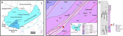 The earliest belemnite linked with the Carnian Pluvial Episode